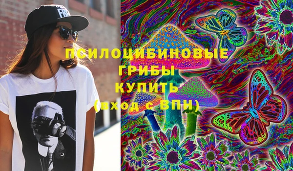 spice Володарск